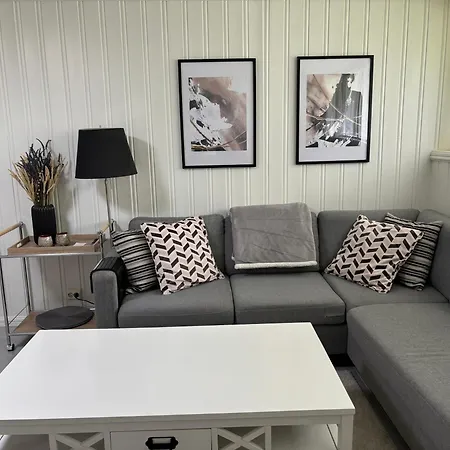 With Two Bedrooms For Rent Larkollen